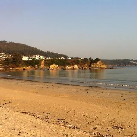 As Areas Ii