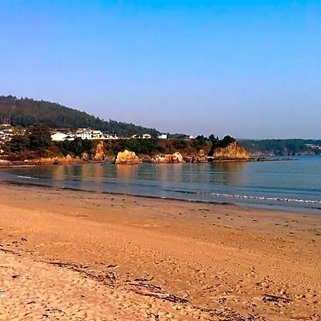 As Areas Ii Viveiro